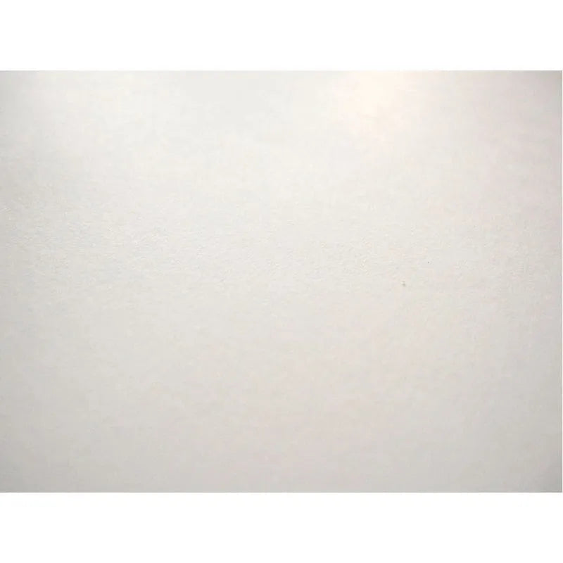 1  Cartulina Bristol Express de 48.8 kg 50 x 65 cm Blanco