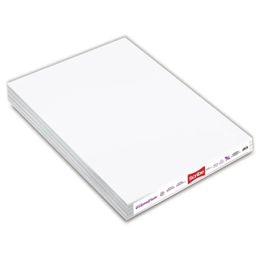 1  Cartulina Bristol Express de 48.8 kg 50 x 65 cm Blanco